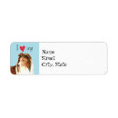 Search for sheltie return address labels Miniature collie
