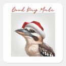 Search for kookaburras stickers Nature
