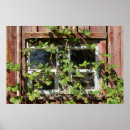 Search for sash window posters Rustic