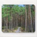 Search for pathway mouse mats Nature