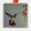 Search for ecuador christmas tree decorations South america