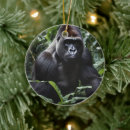 Search for jungle christmas tree decorations Monkey