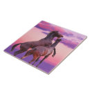 Search for rear tiles Equine