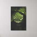 Search for dew art Leaf