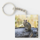 Search for chipmunk key rings Rodent