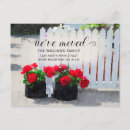 Search for red geranium Red geraniums