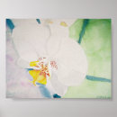 Search for orchid posters Florals