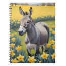 Search for donkey notebooks Mule