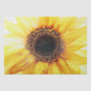 Search for sunflower tissue paper Abstract