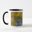 Search for maple tree mugs Fall