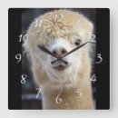 Search for alpaca art Cute