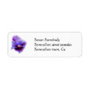 Search for pansies return address labels Purple pansy