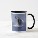 Search for humpback whale mugs Marine