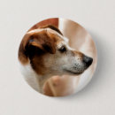 Search for russell badges Pet
