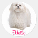Search for shih tzu puppy stickers Shitzu