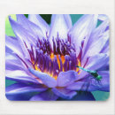 Search for lilly mouse mats Purple