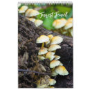 Search for mushroom calendars Photography