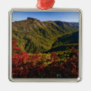 Search for gorge christmas tree decorations Appalachian mountains