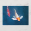 Search for fish pond postcards Outdoors