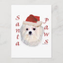Search for maltese dog christmas cards Breed