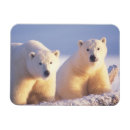 Search for sows cards Alaska