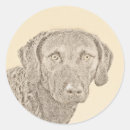 Search for chessie stickers Dog
