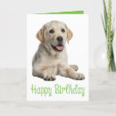 Search for yellow labrador birthday cards Puppies