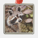Search for racoon christmas tree decorations Wildlife