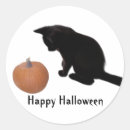 Search for black kitten stickers Pumpkin
