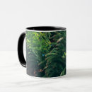 Search for conifer mugs Spruce