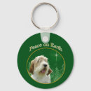 Search for petit key rings Pbgv