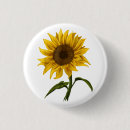 Search for sunshine flower badges Watercolor