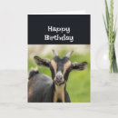 Search for old goat birthday cards Animal