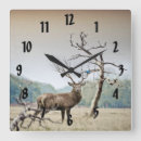 Search for bluebird posters Rustic