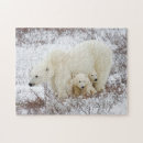 Search for danita delimont puzzles Bear