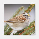 Search for sparrow gifts White
