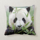 Search for giant panda cushions Animal