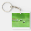 Search for drops key rings Nature