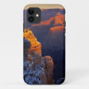 Search for medium format iphone cases National park