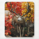 Search for whitetail mouse mats Deer