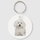 Search for maltese dog key rings Animal