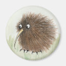 Search for kiwi magnets Animal