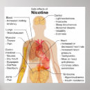 Search for nicotine posters Smoking