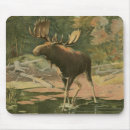 Search for moose mouse mats Lake