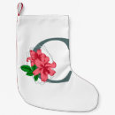 Search for alphabet christmas stockings Abc