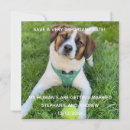Search for dog save the dates Unique