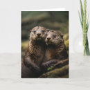 Search for otter cards Aquatic