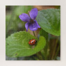 Search for ladybug puzzles Flower