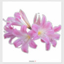 Search for amaryllis stickers Lily