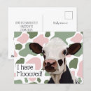 Search for funny cow puns postcards New home